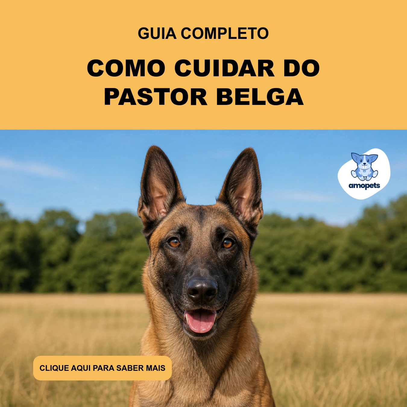 Guia de Como Cuidar do Pastor Belga