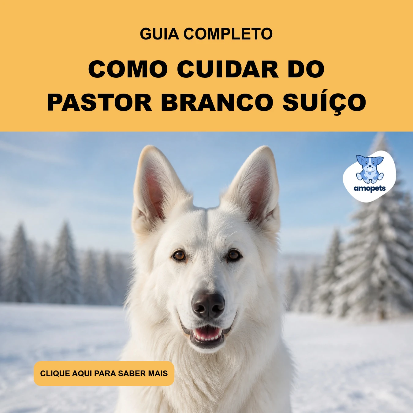 Como Cuidar do Pastor Branco Suíço