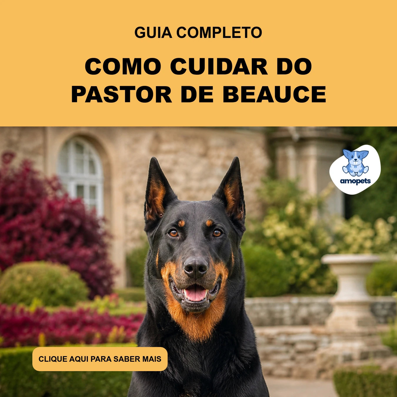 Guia de Como Cuidar do Pastor de Beauce