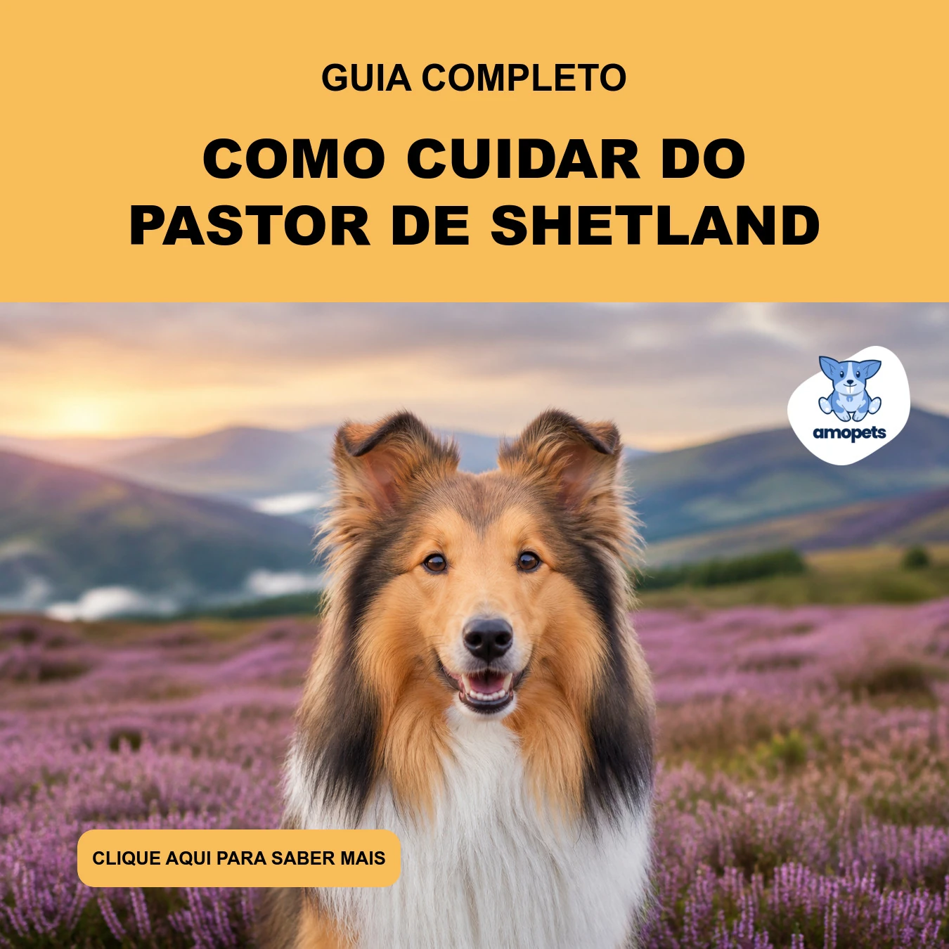 Guia de Como Cuidar do Pastor de Shetland