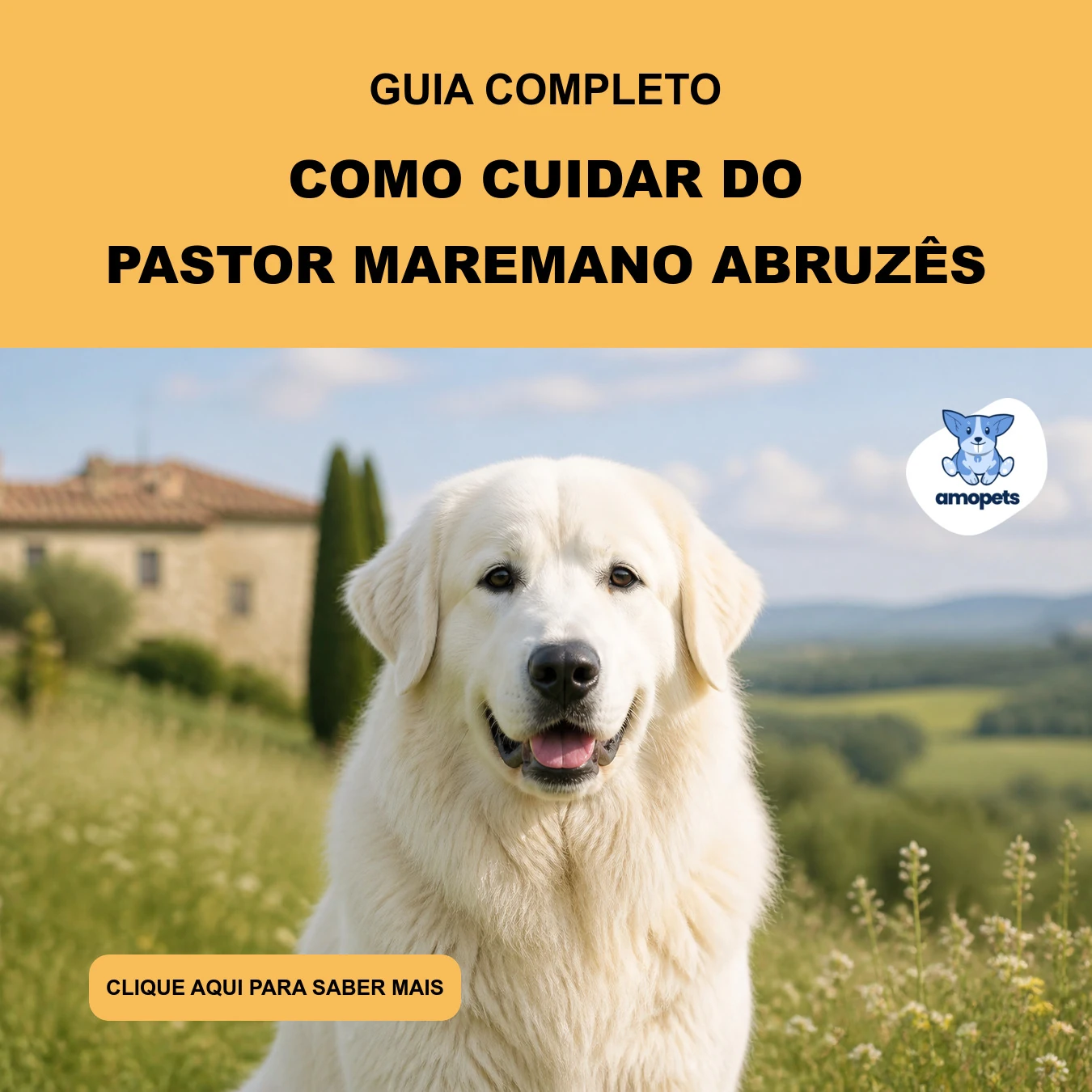 Como Cuidar do Pastor Maremano Abruzês