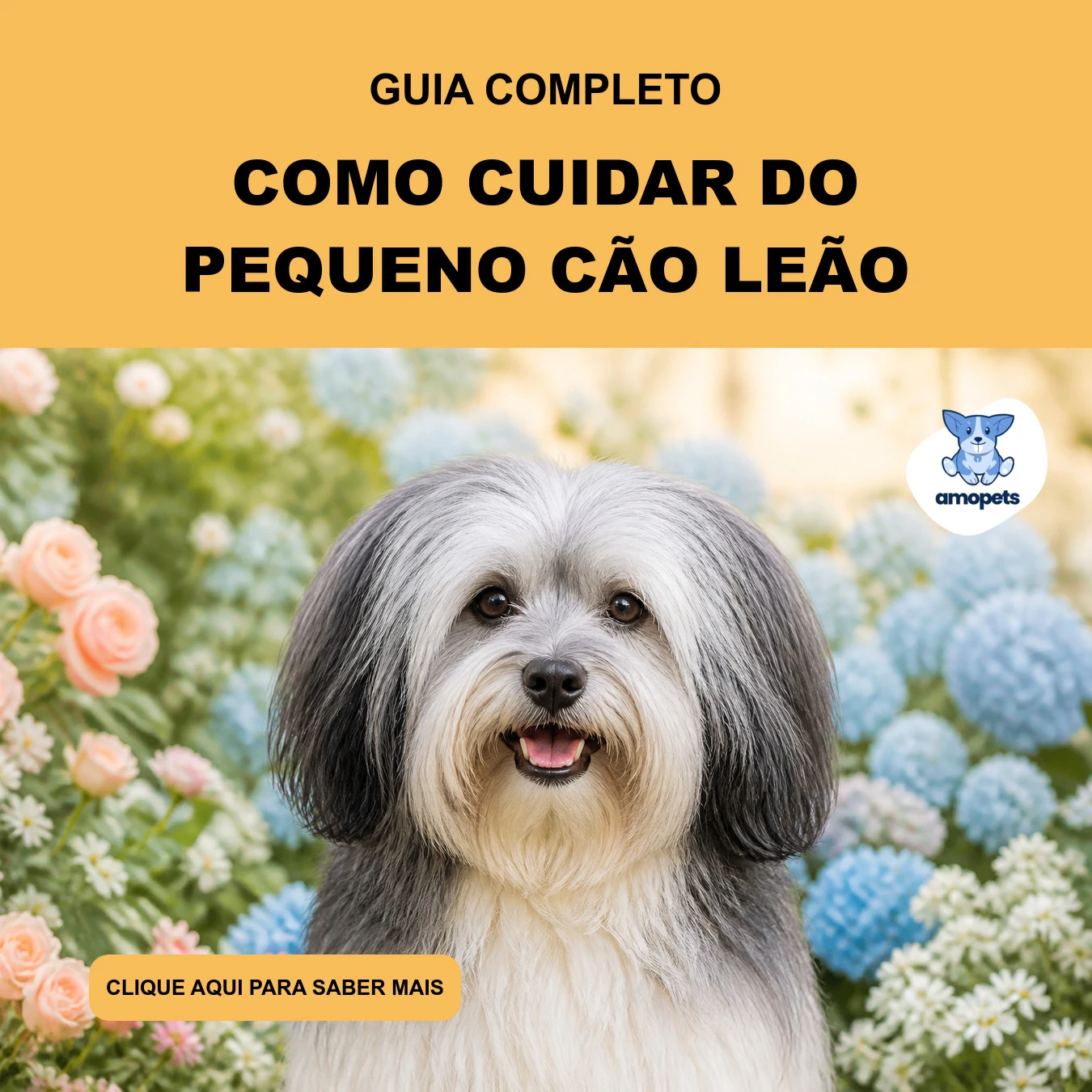 Guia de Como Cuidar do Pequeno Cão Leão