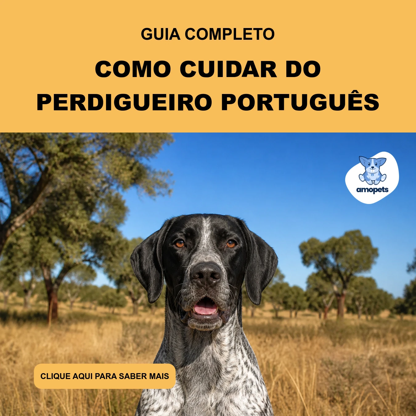 Como Cuidar do Perdigueiro Português