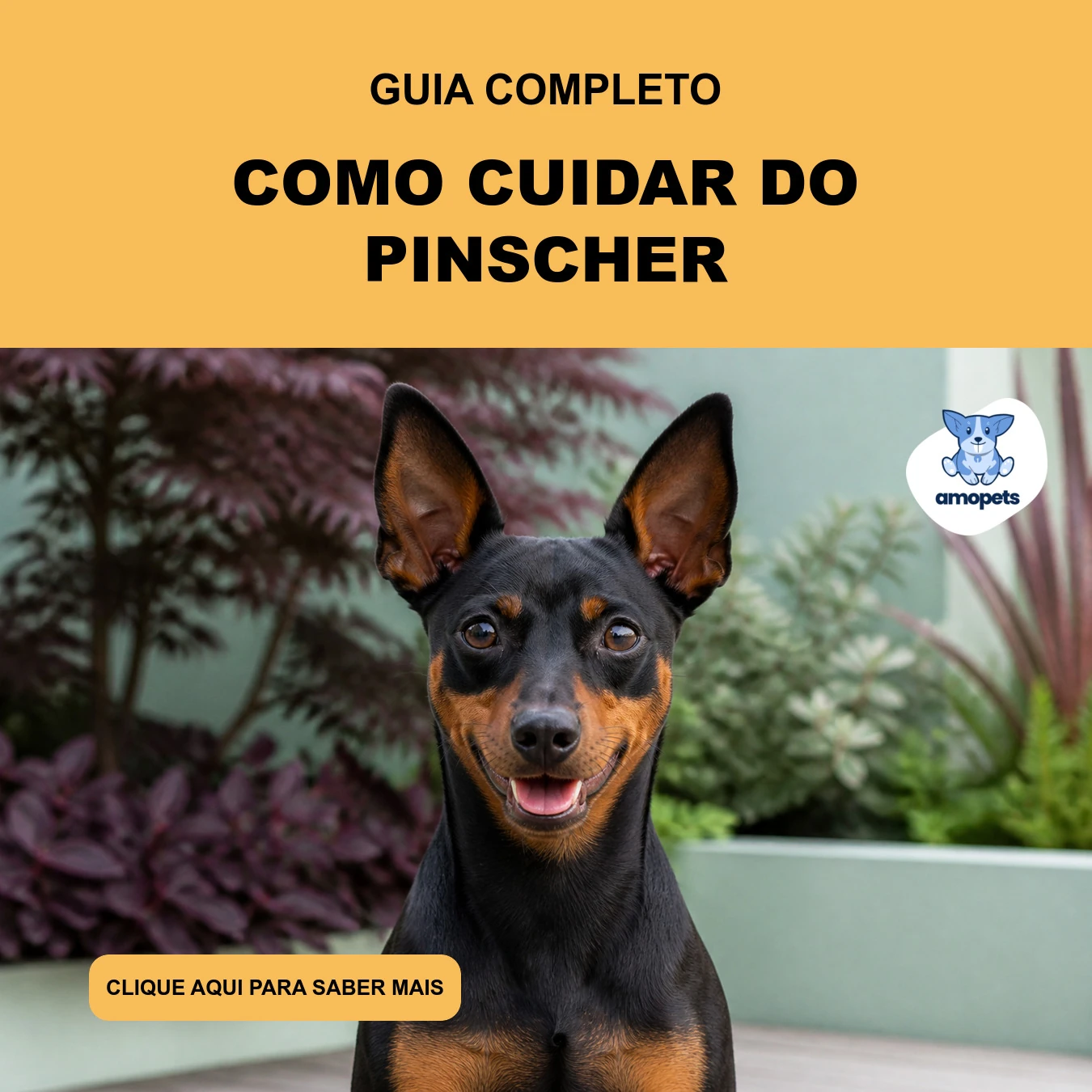 Guia de Como Cuidar do Pinscher