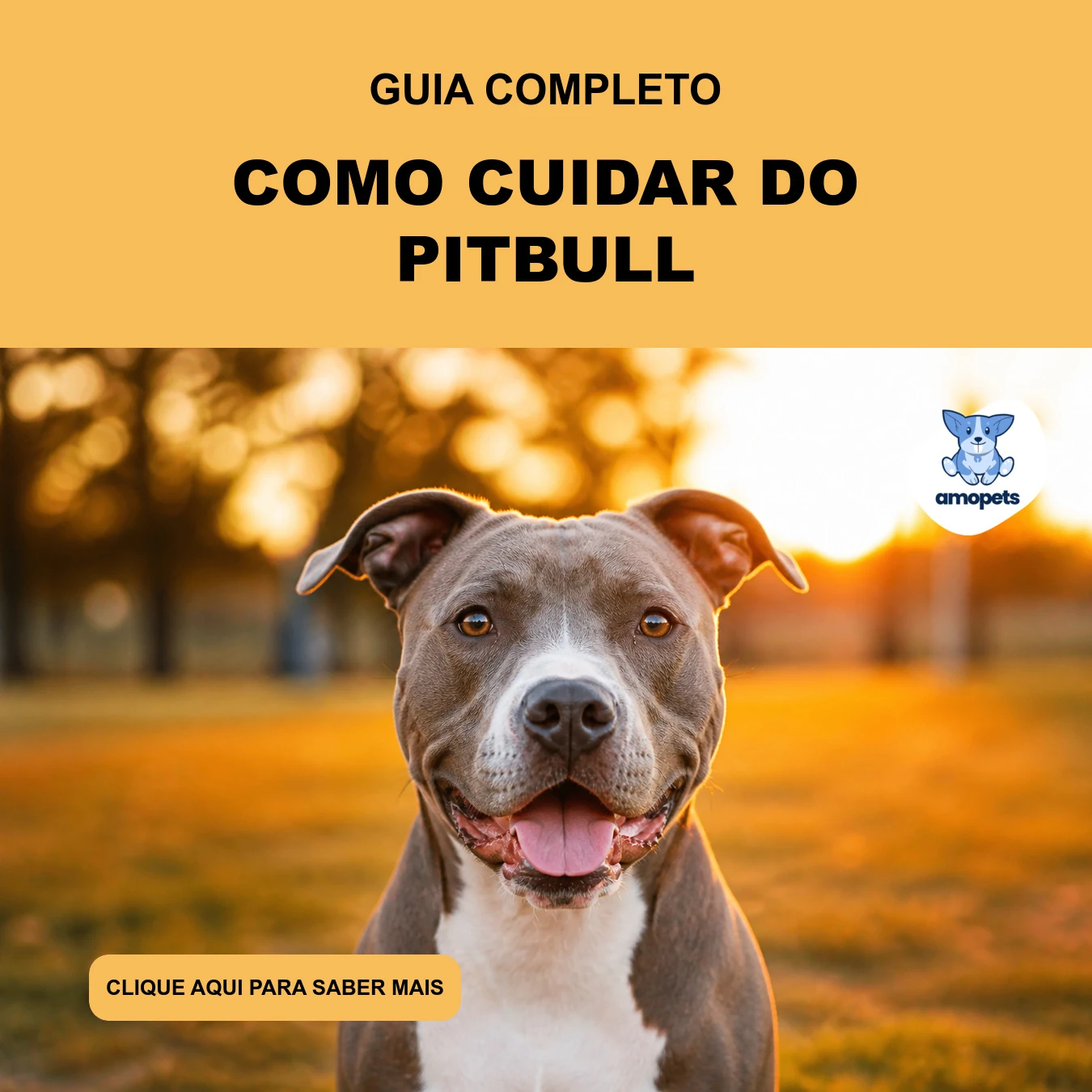 Guia de Como Cuidar do Pitbull