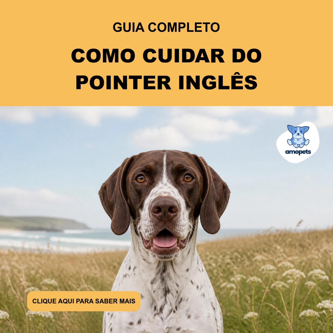 Guia de Como Cuidar do Pointer Inglês