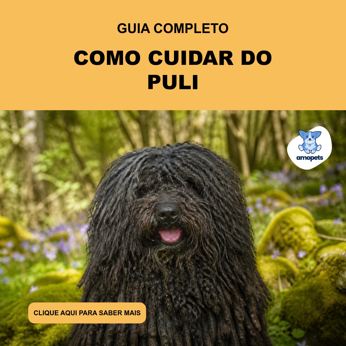 Guia de Como Cuidar do Puli