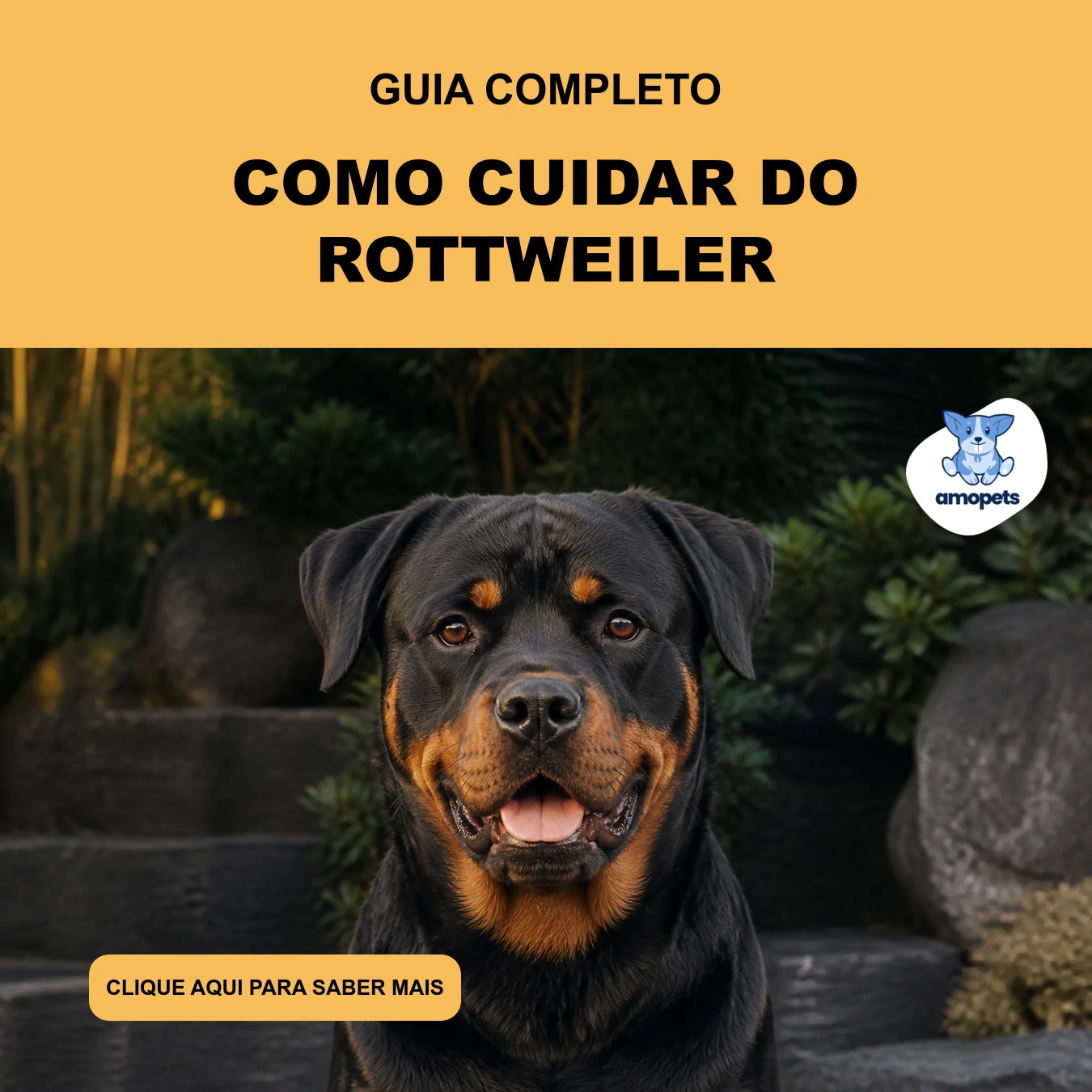 Guia de Como Cuidar do Rottweiler