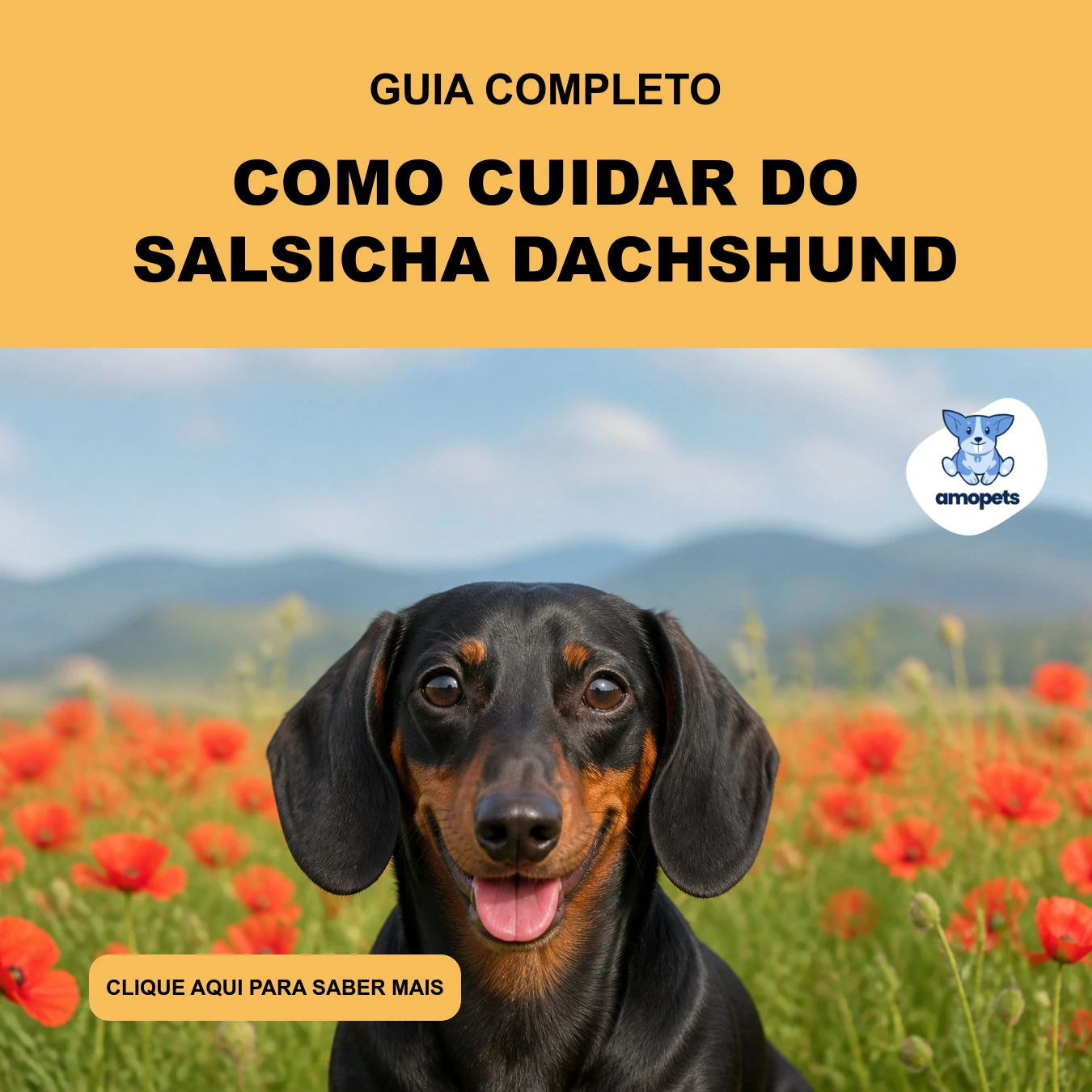 Guia de Como Cuidar do Salsicha Dachshund