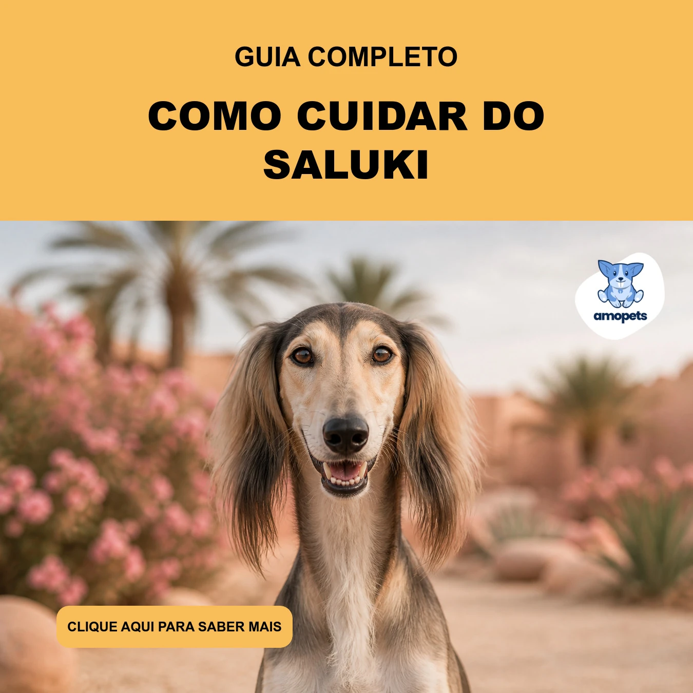 Guia de Como Cuidar do Saluki