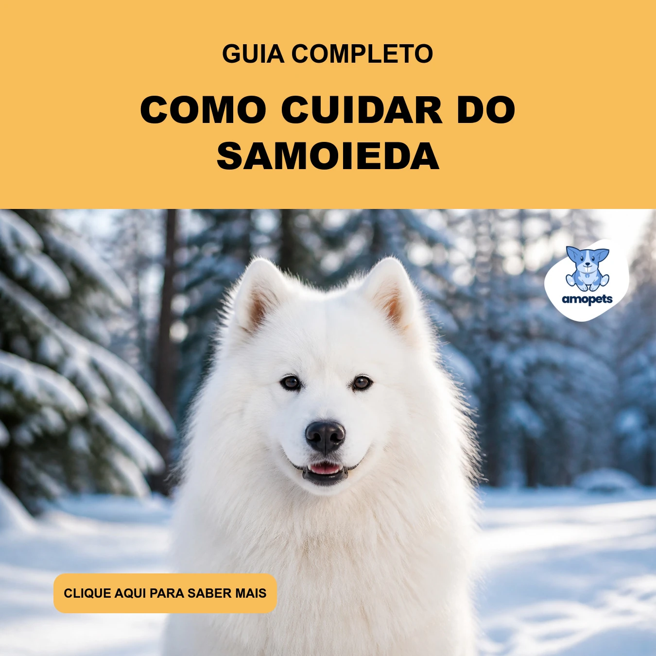 Guia de Como Cuidar do Samoieda