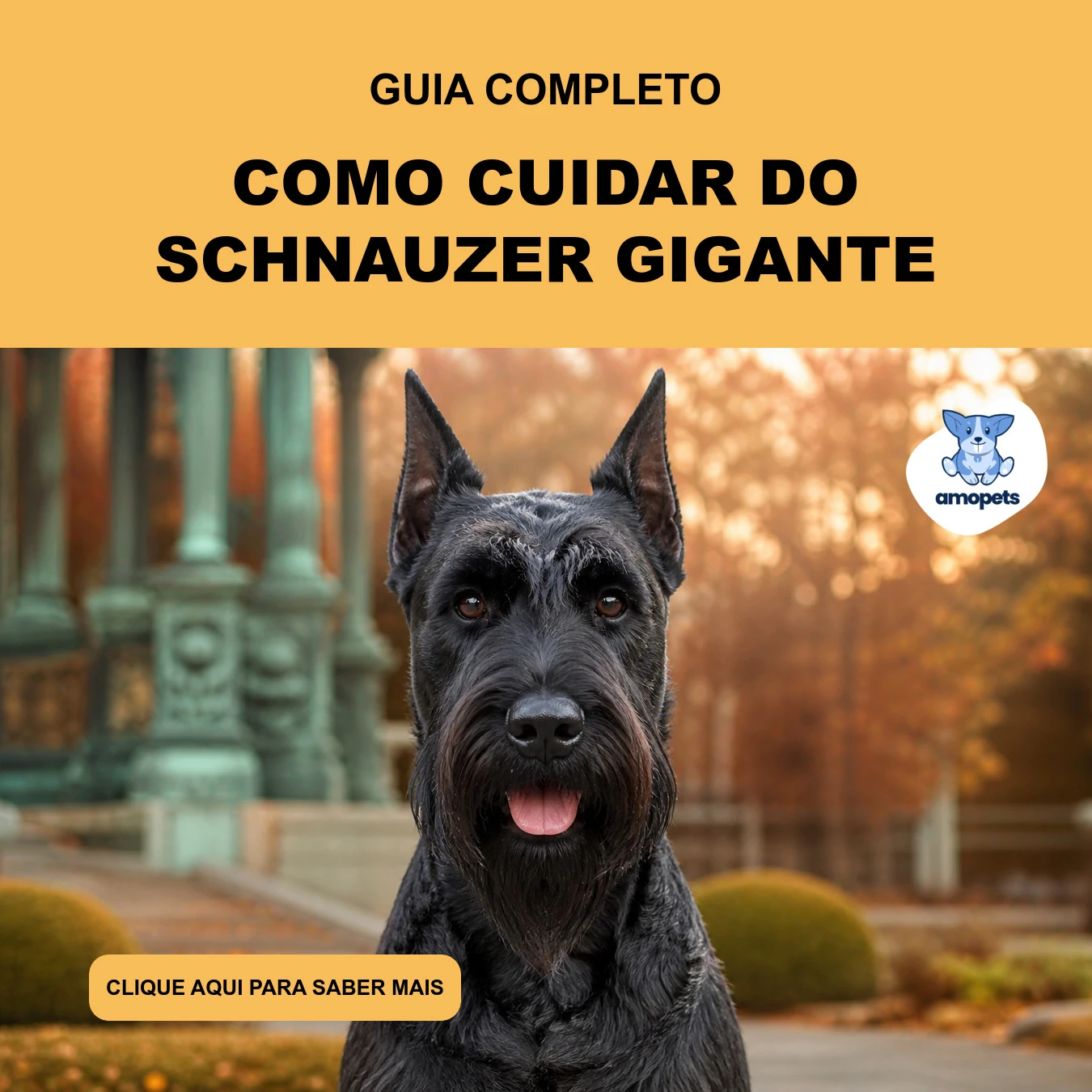 Guia de Como Cuidar do Schnauzer Gigante