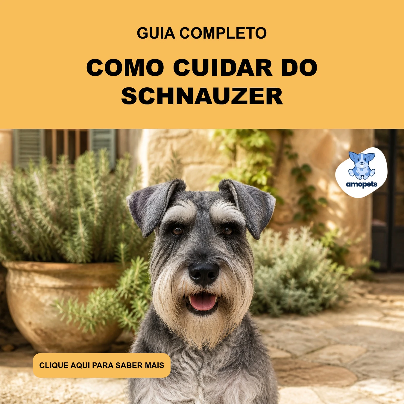 Guia de Como Cuidar do Schnauzer