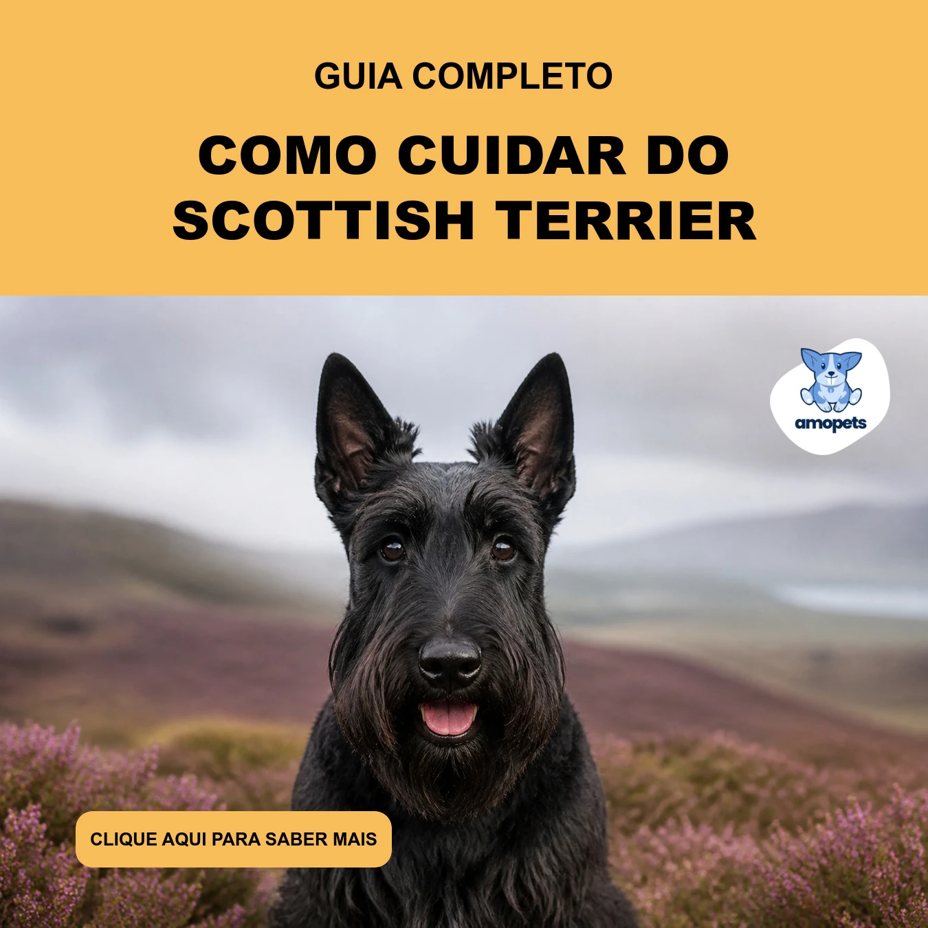 Guia de Como Cuidar do Scottish Terrier