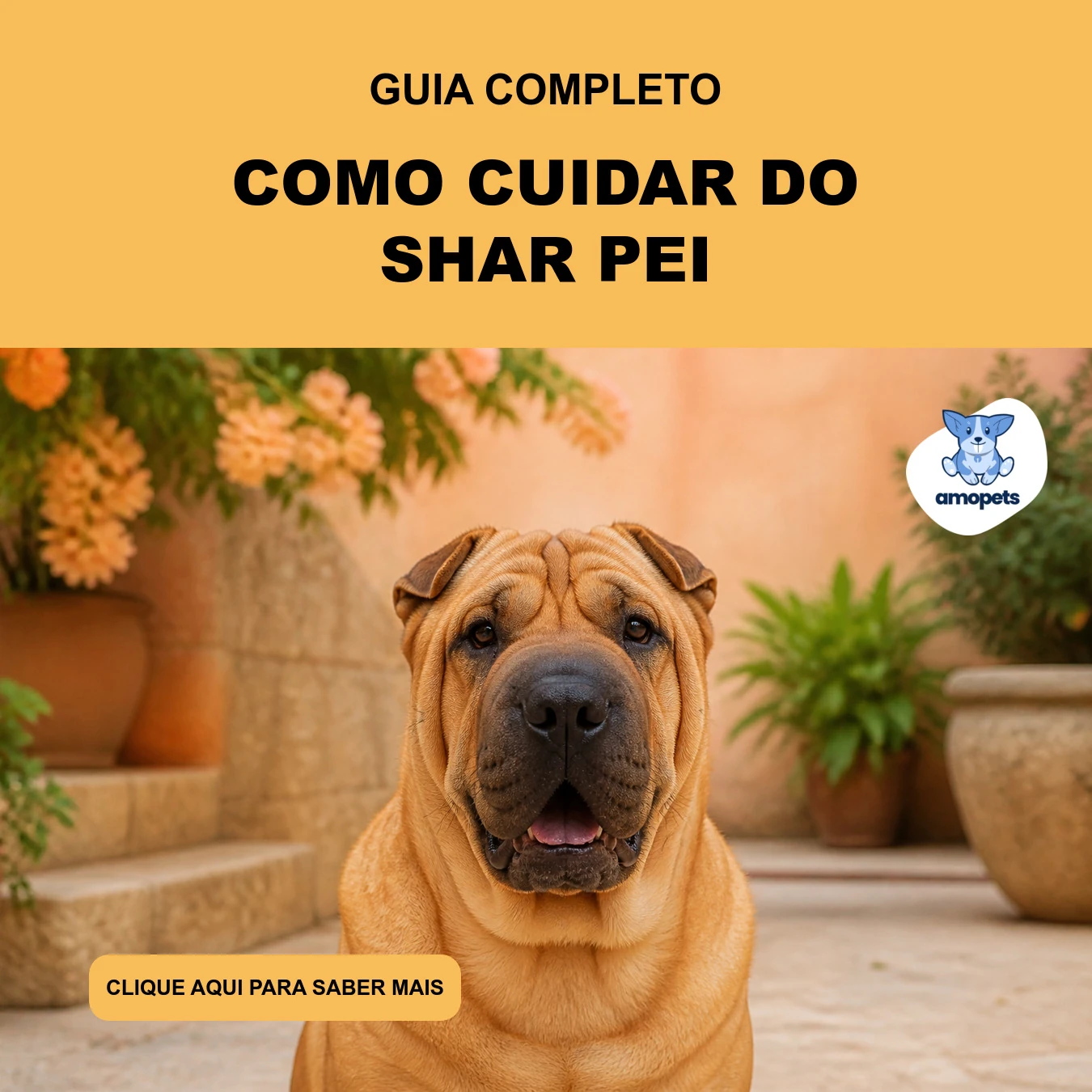 Guia de Como Cuidar do Shar Pei