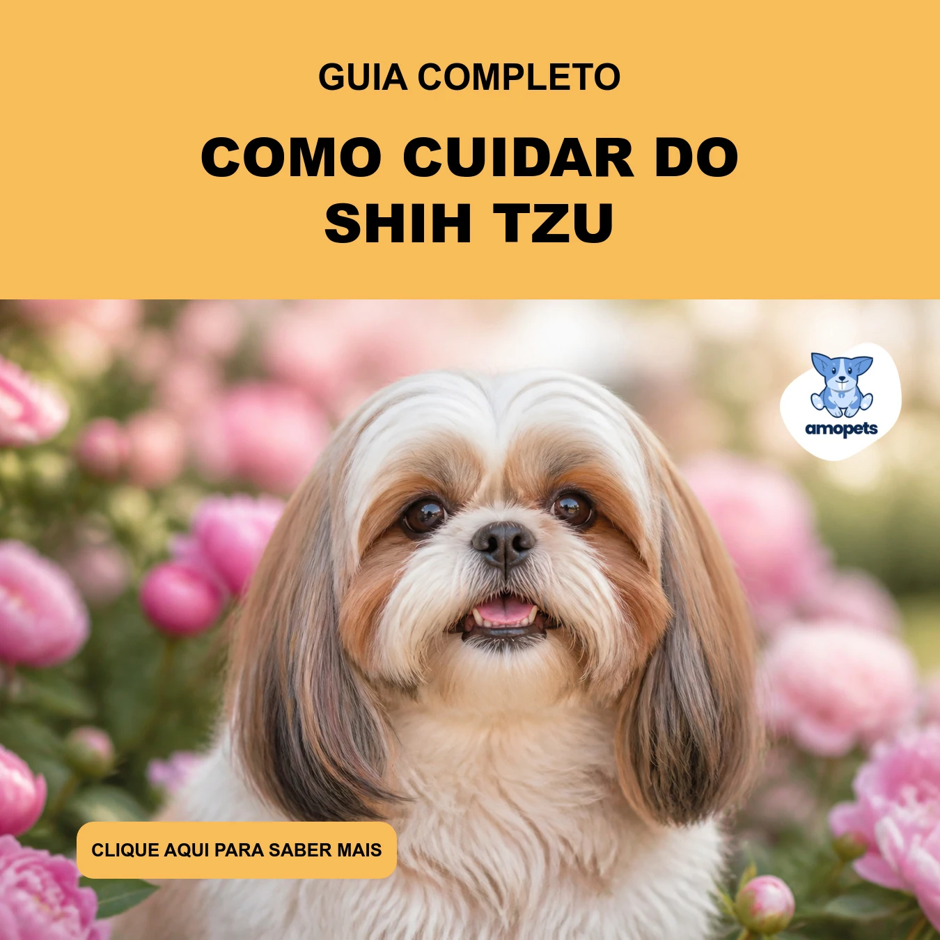 Guia de Como Cuidar do Shih Tzu
