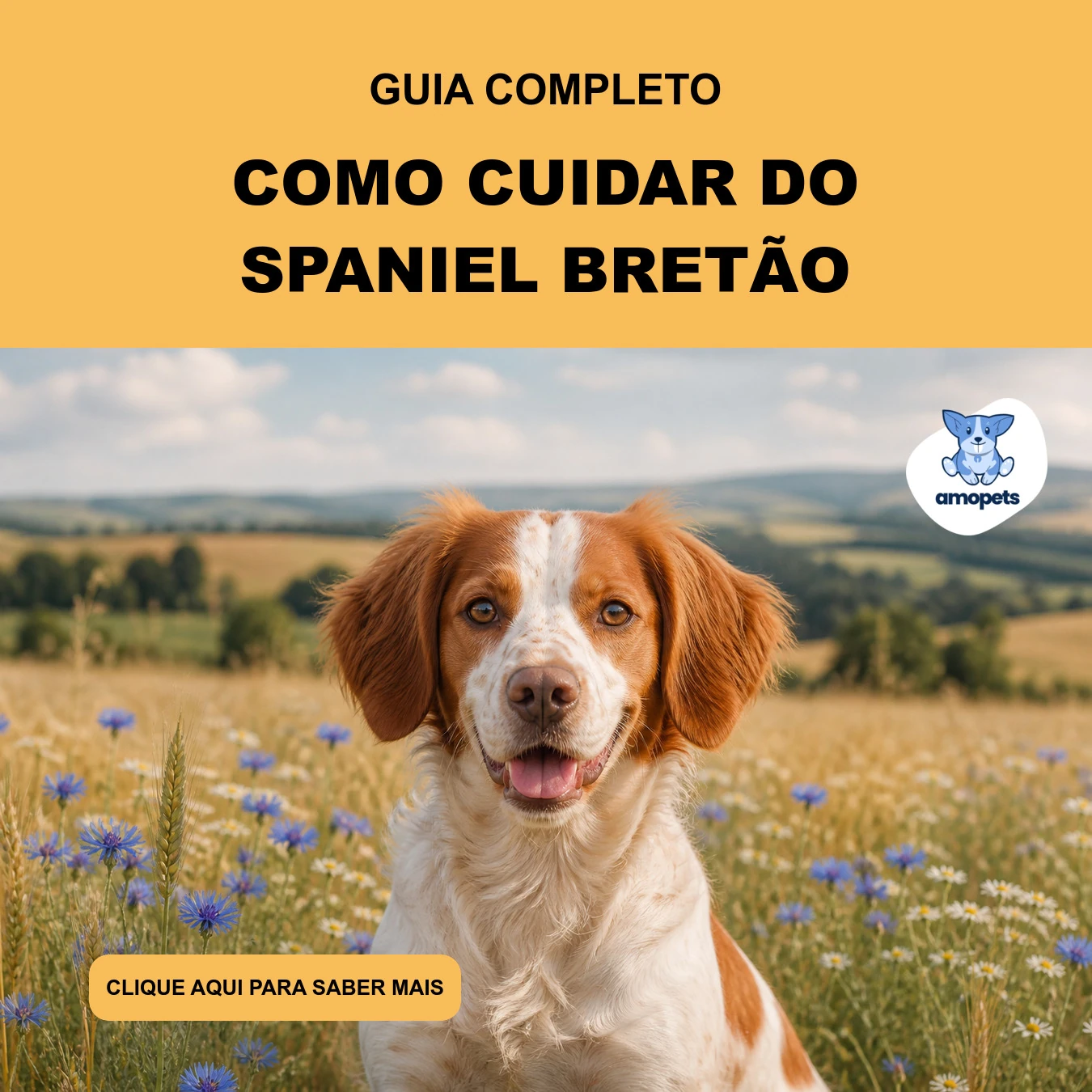 Guia de Como Cuidar do Spaniel Bretão