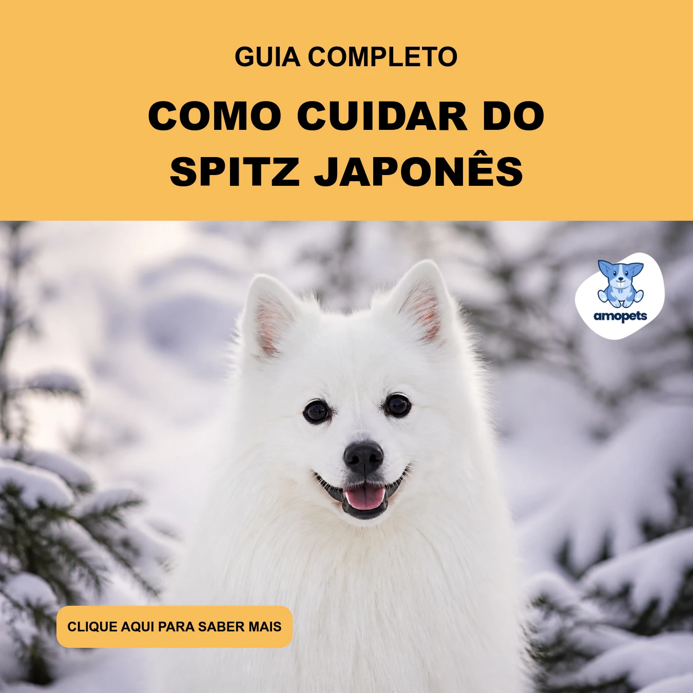 Guia de Como Cuidar do Spitz Japonês