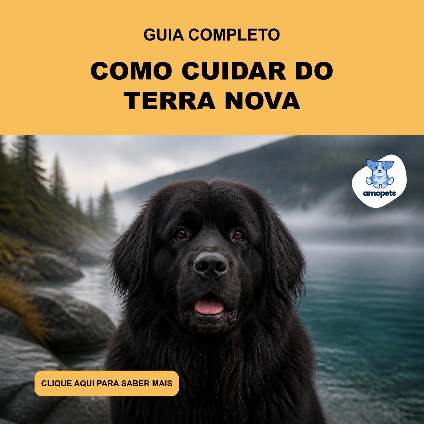 Guia de Como Cuidar do Terra Nova