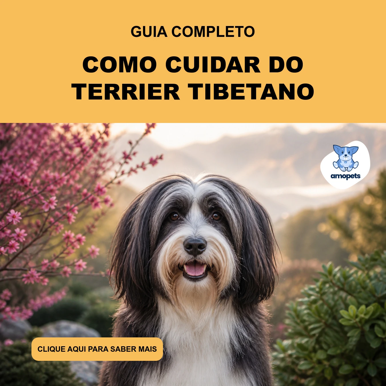 Guia de Como Cuidar do Terrier Tibetano