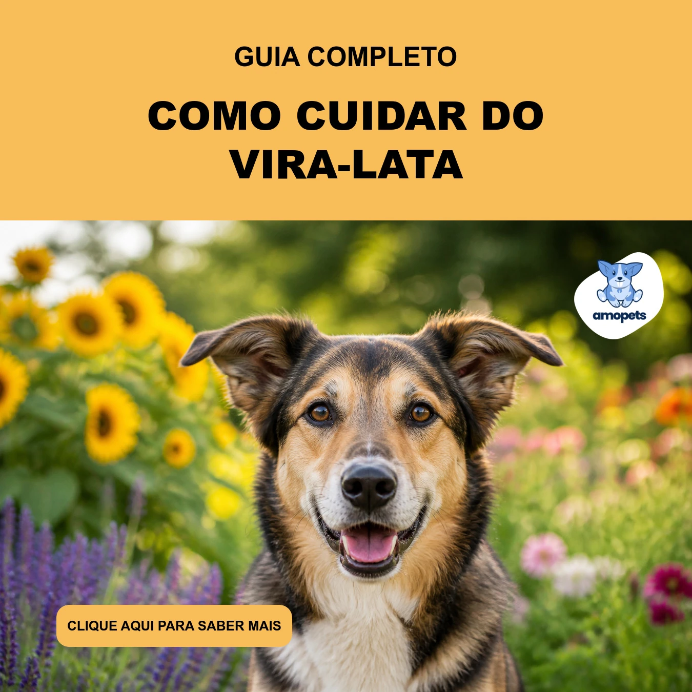 Guia de Como Cuidar do Vira-lata