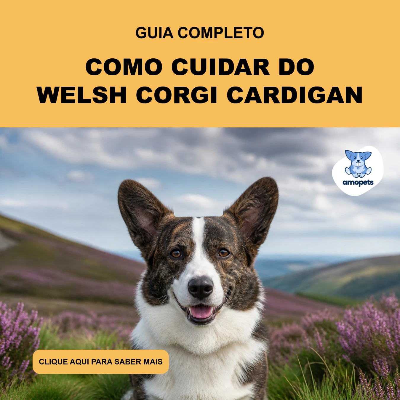 Como Cuidar do Welsh Corgi Cardigan