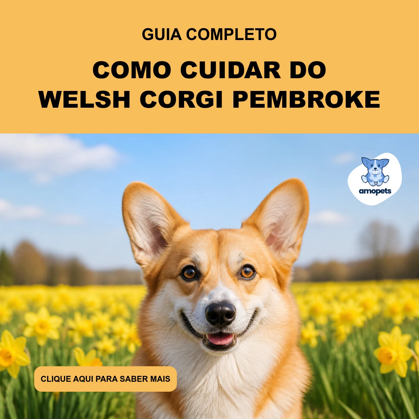 Como Cuidar do Welsh Corgi Pembroke