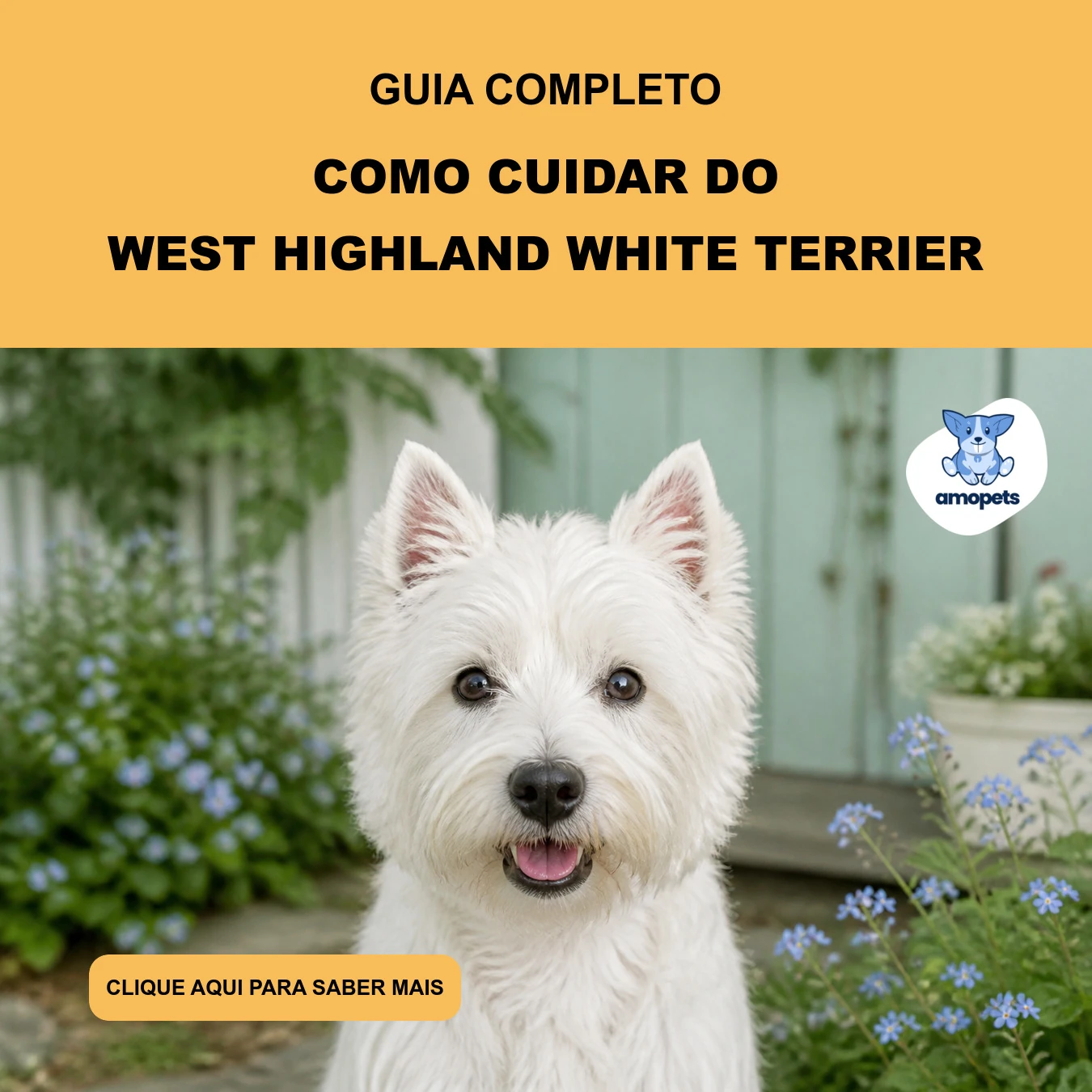 Guia de Como Cuidar do West Highland White Terrier