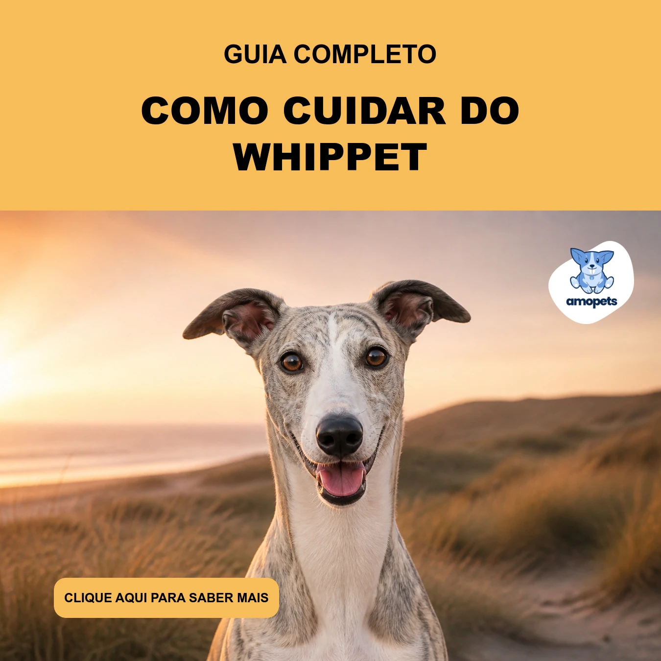 Guia de Como Cuidar do Whippet