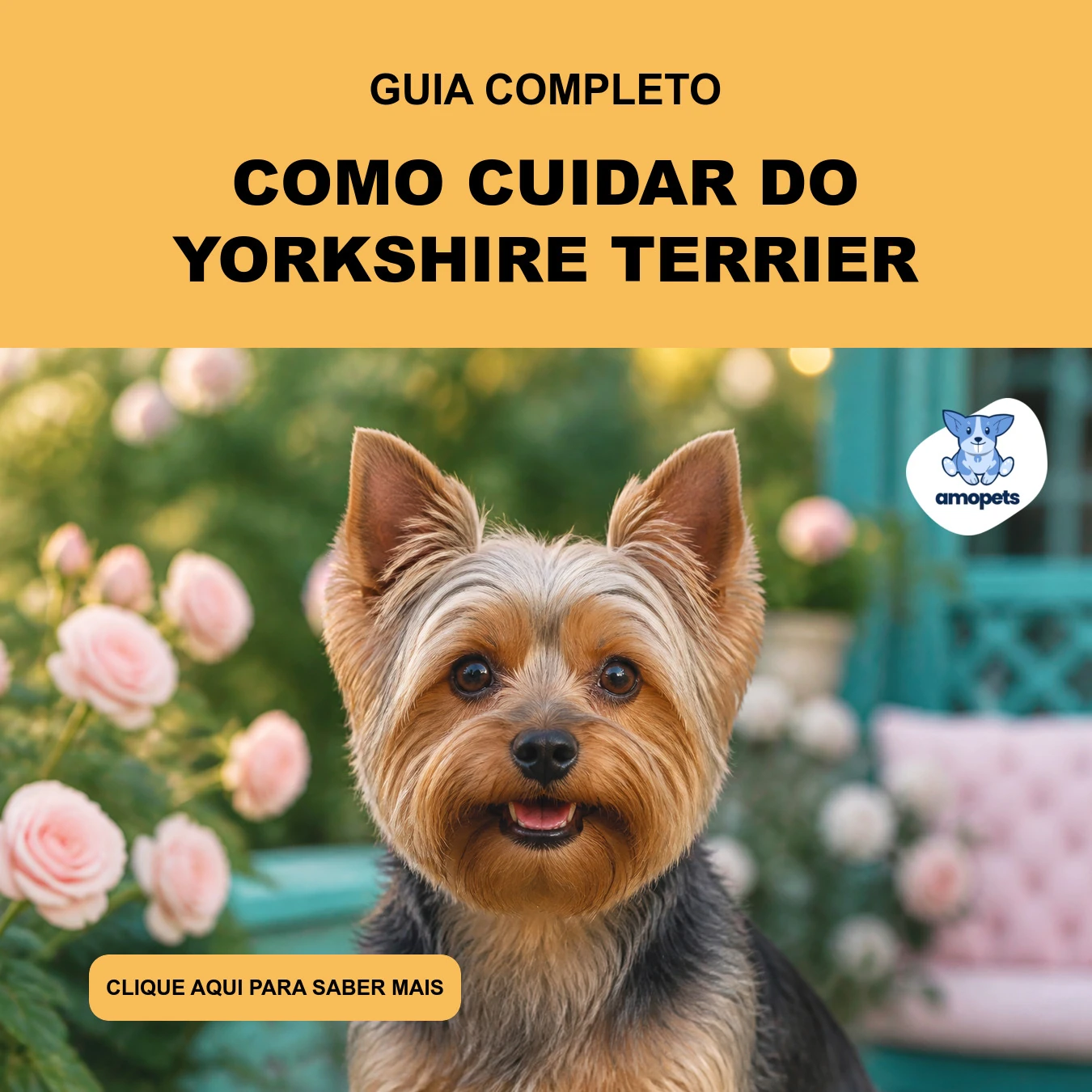 Guia de Como Cuidar do Yorkshire Terrier