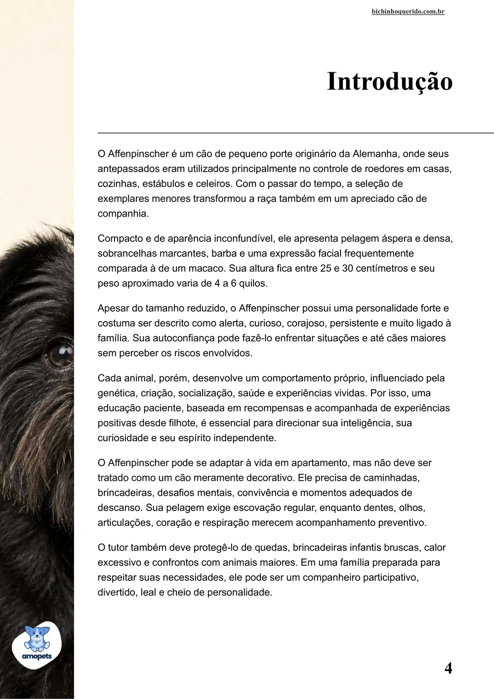 introdução do e-book Guia de Como Cuidar do Affenpinscher