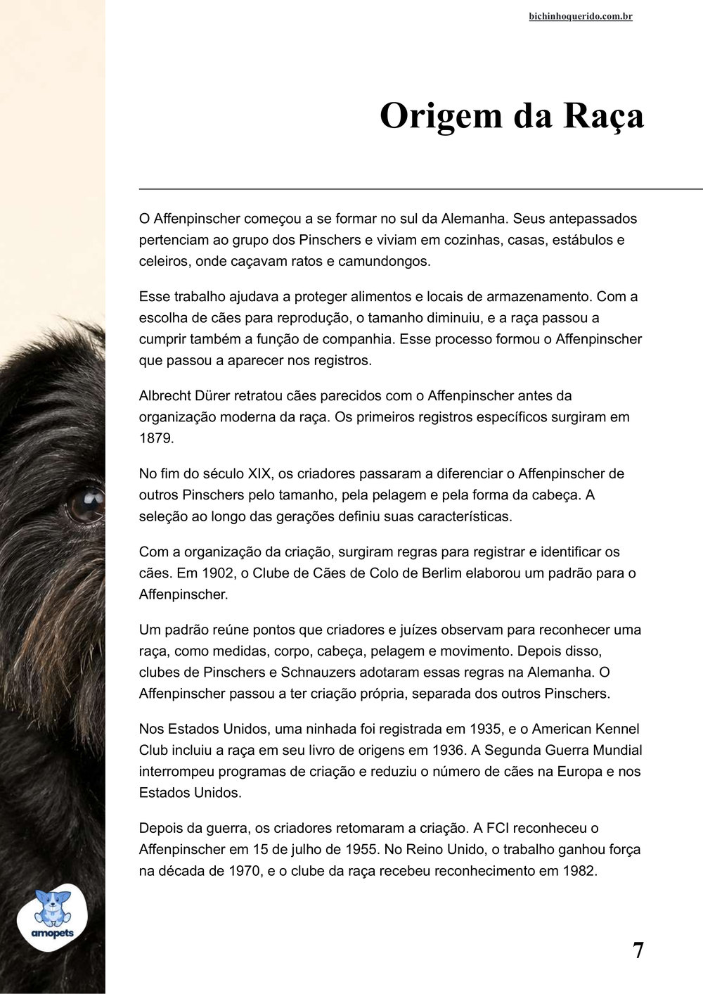 origem da raça no e-book Guia de Como Cuidar do Affenpinscher