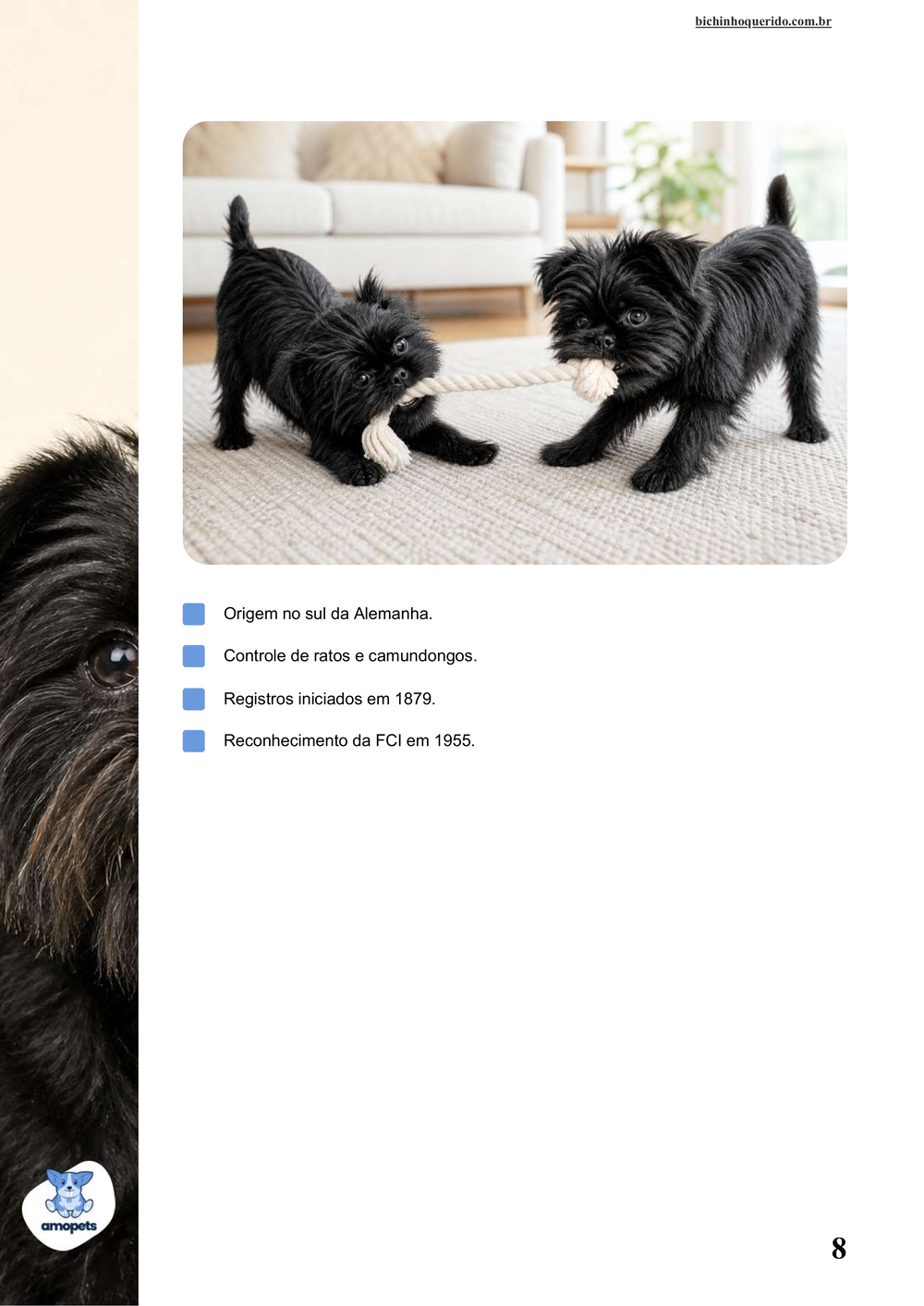 características do Affenpinscher no e-book Guia de Como Cuidar do Affenpinscher