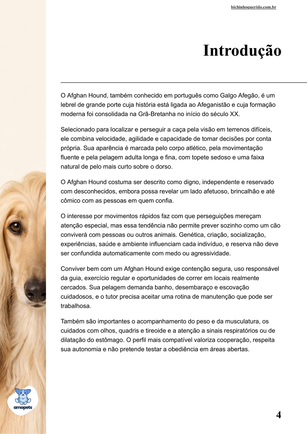 introdução do e-book Guia de Como Cuidar do Afghan Hound
