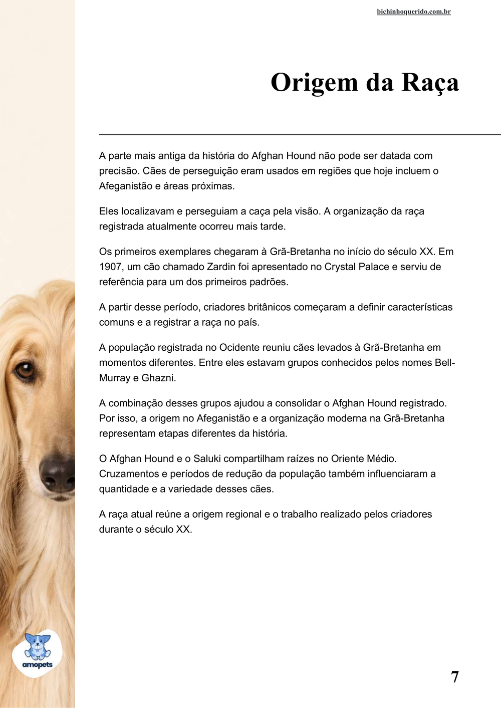 origem da raça no e-book Guia de Como Cuidar do Afghan Hound