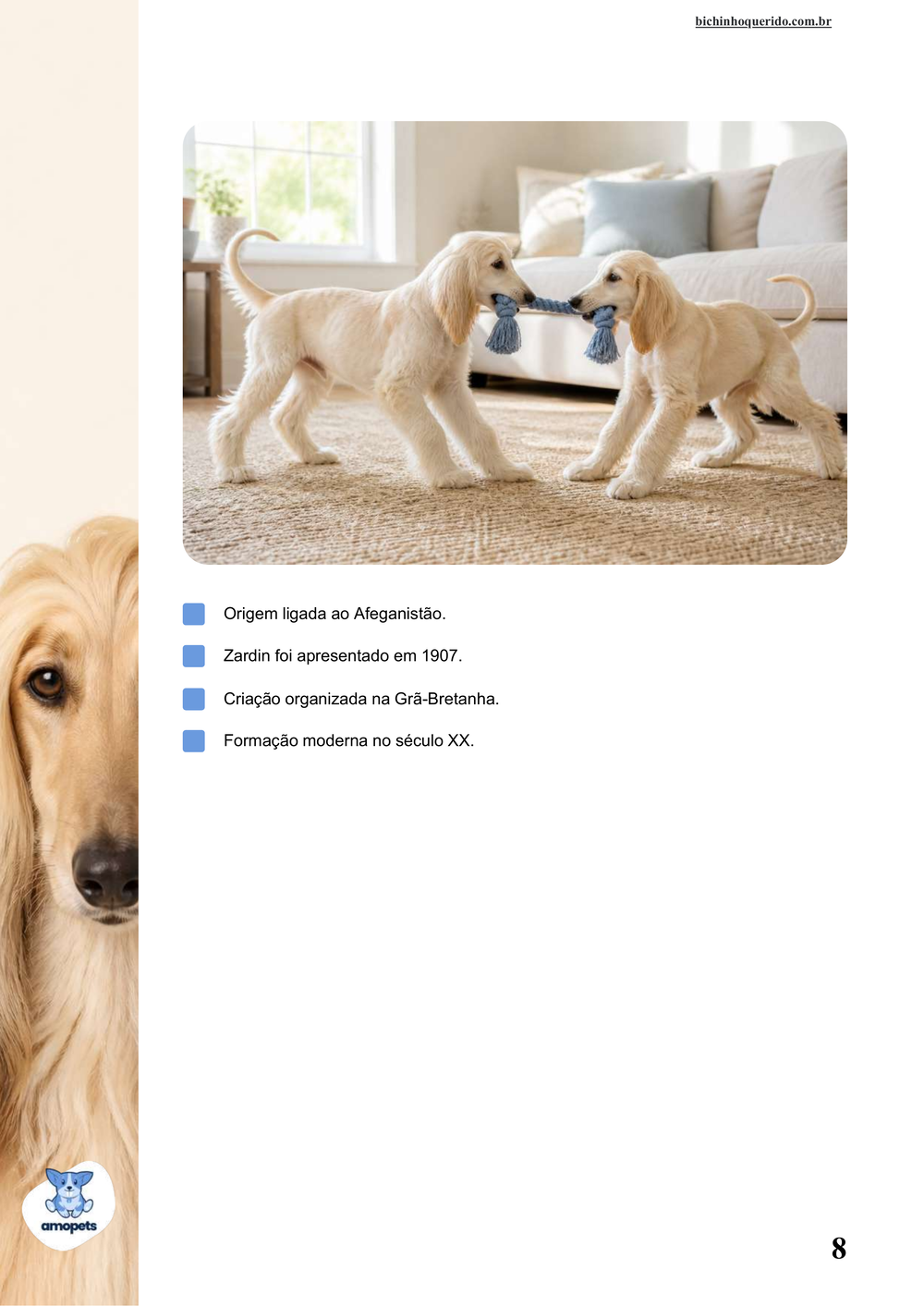 características do Afghan Hound no e-book Guia de Como Cuidar do Afghan Hound