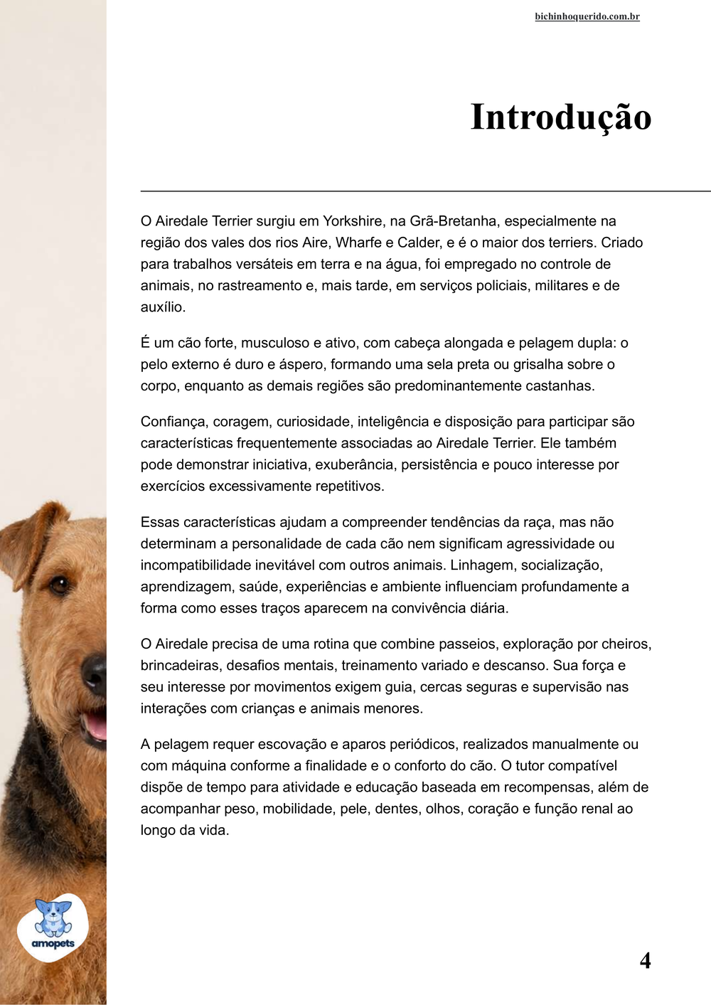 introdução do e-book Guia de Como Cuidar do Airedale Terrier