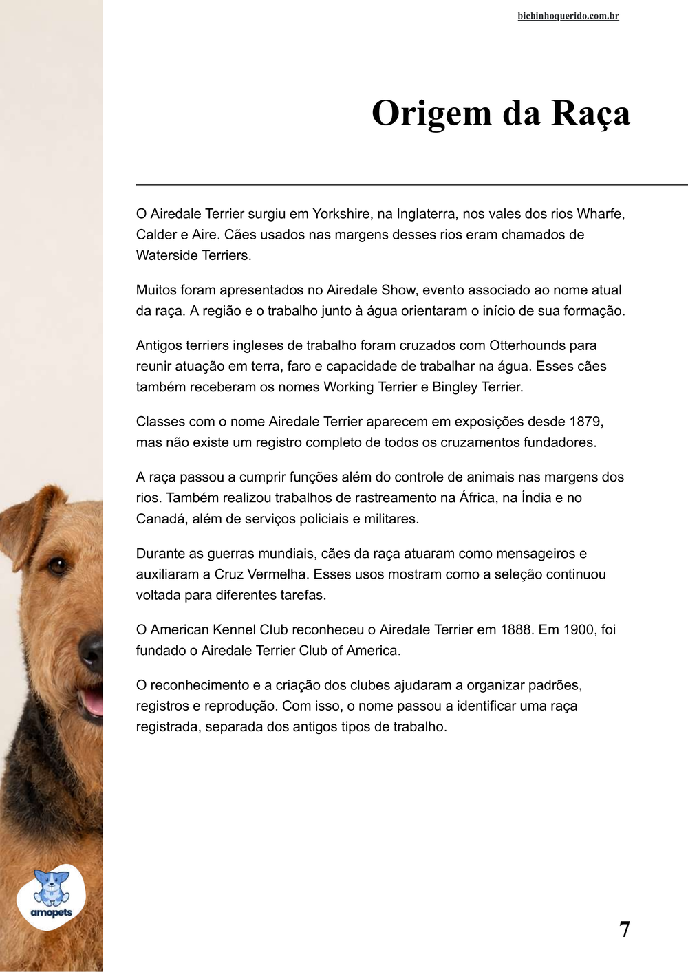 origem da raça no e-book Guia de Como Cuidar do Airedale Terrier
