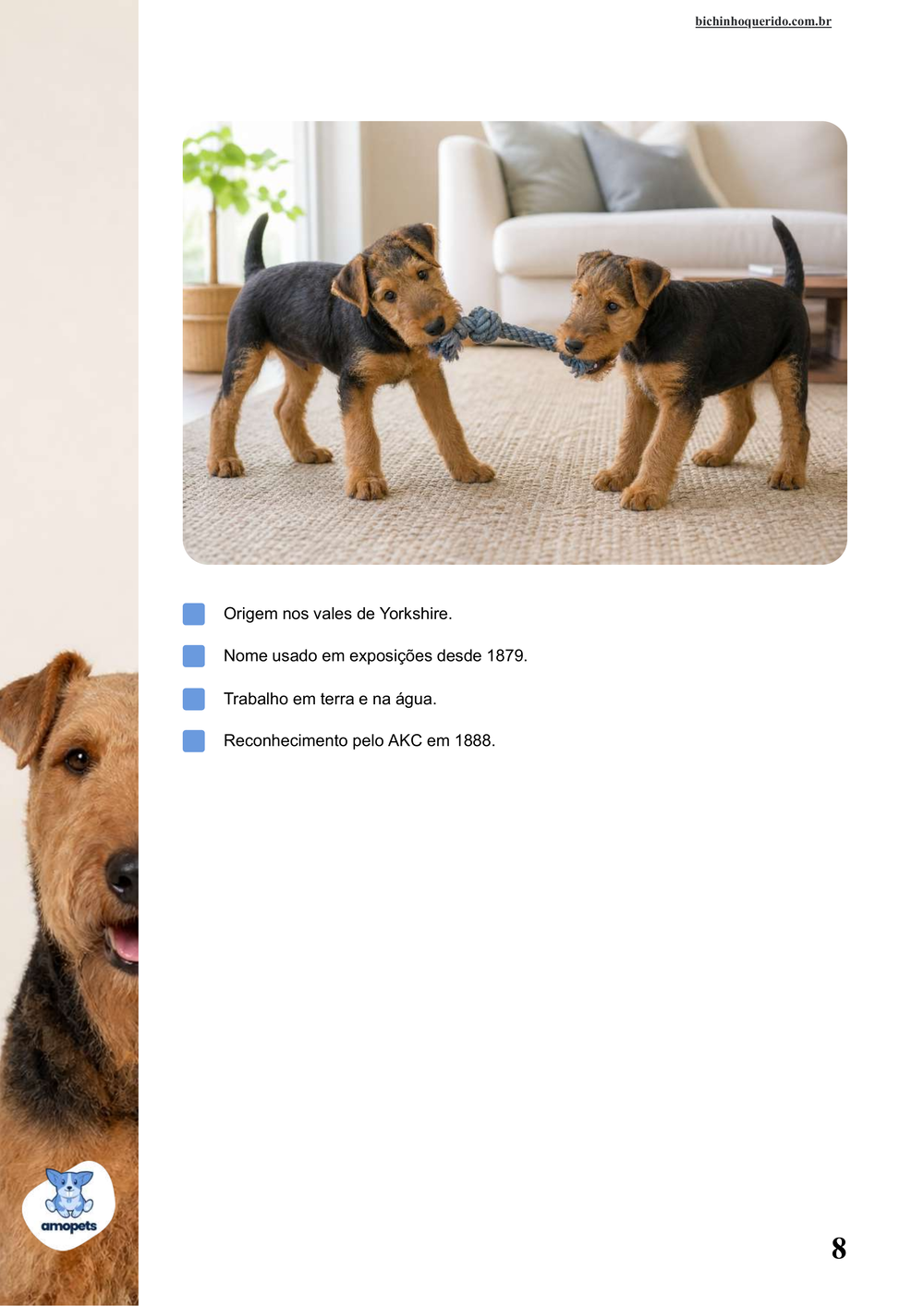 características do Airedale Terrier no e-book Guia de Como Cuidar do Airedale Terrier