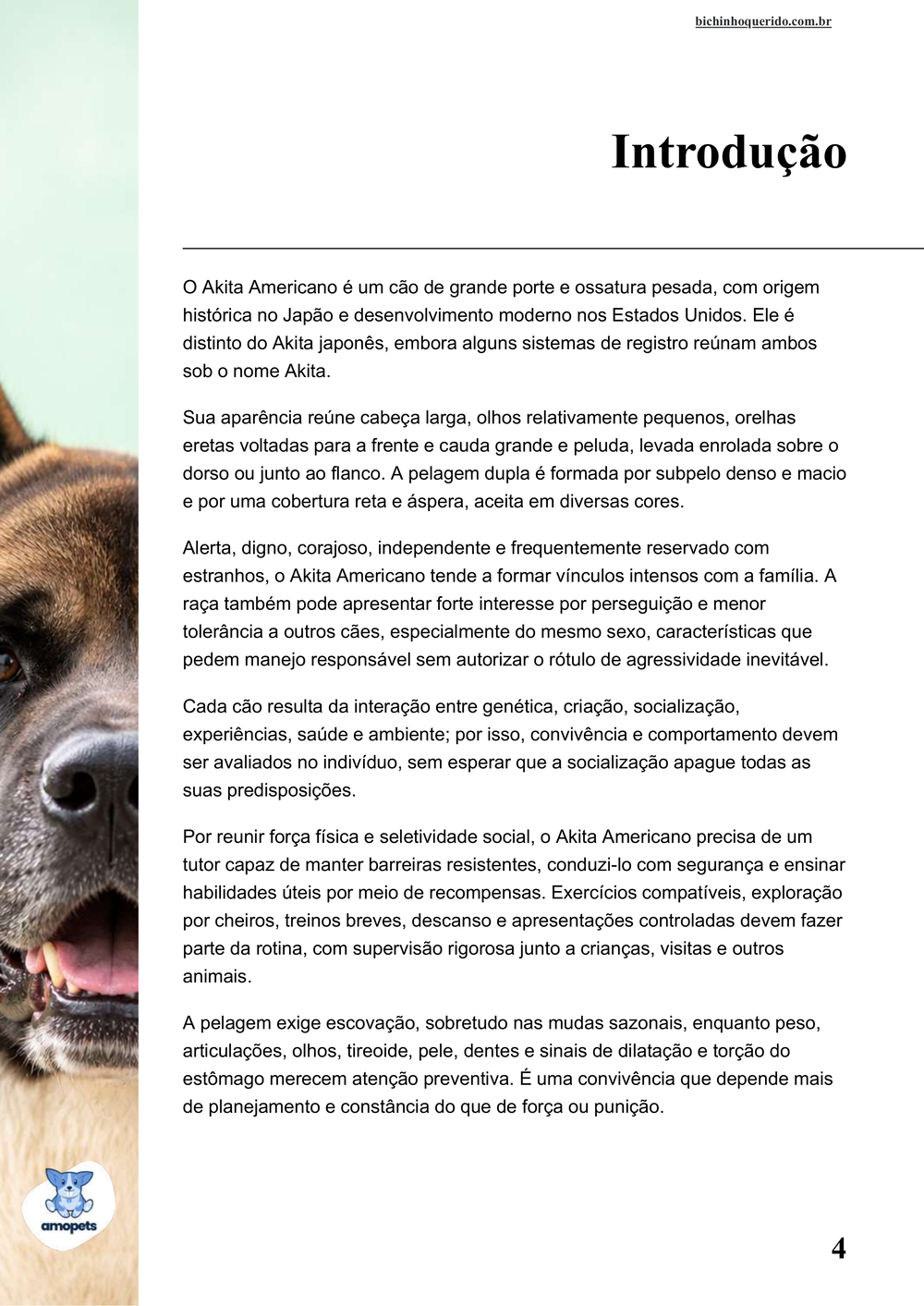 introdução do e-book Guia de Como Cuidar do Akita Americano