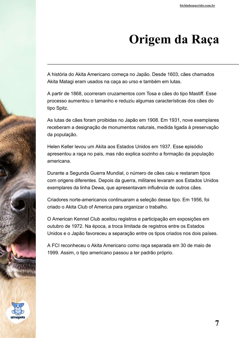 origem da raça no e-book Guia de Como Cuidar do Akita Americano