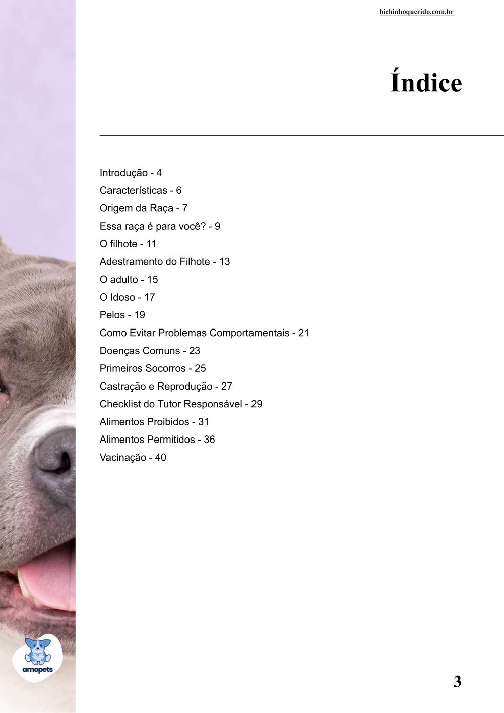 índice do e-book Guia de Como Cuidar do American Bully
