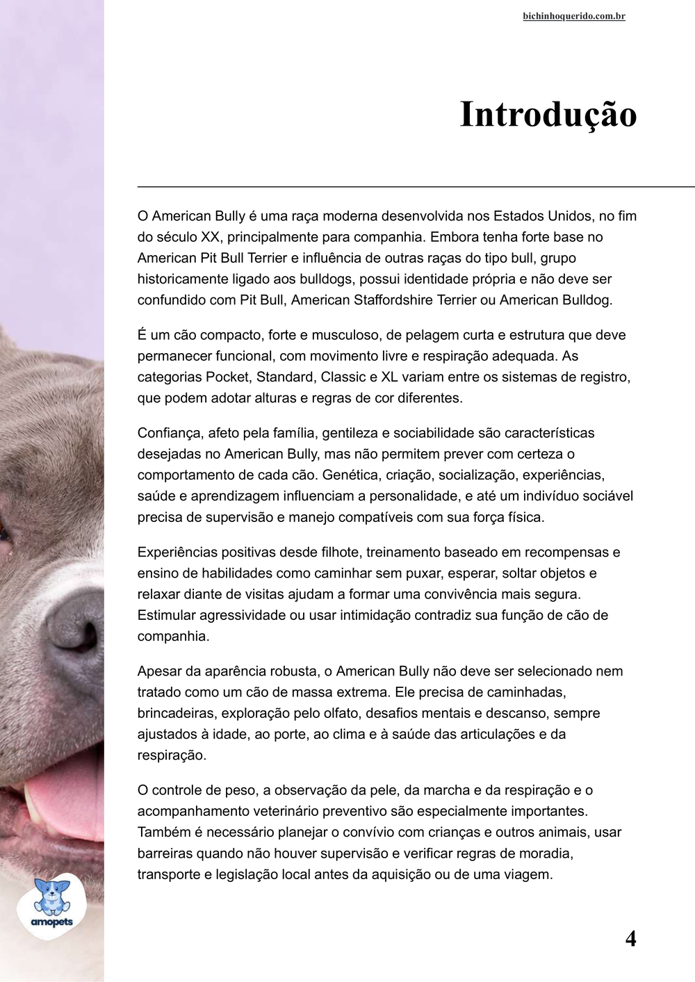 introdução do e-book Guia de Como Cuidar do American Bully