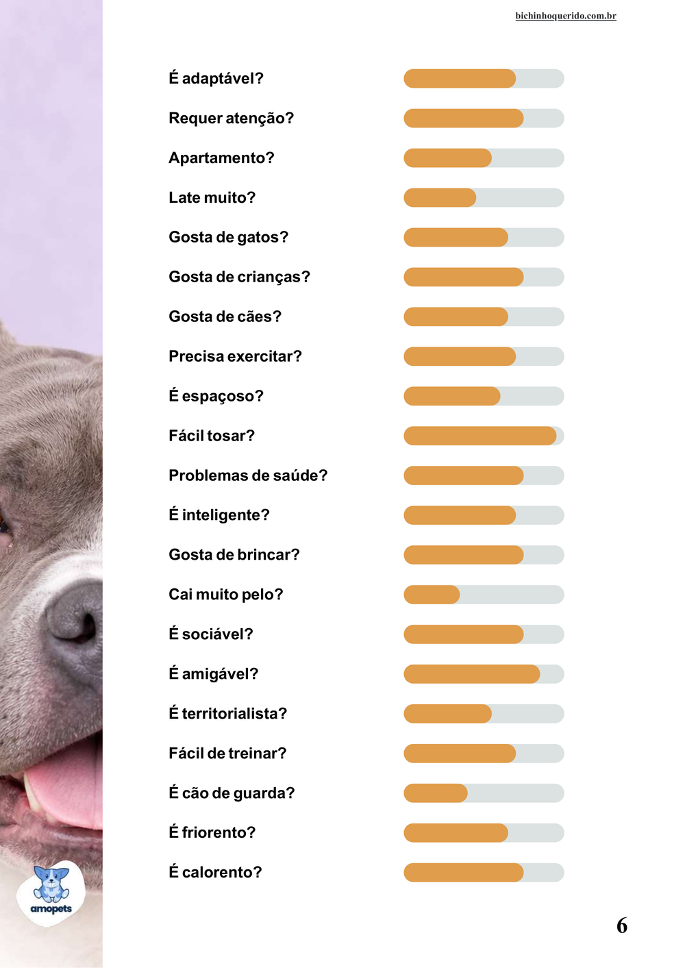 perfil da raça no e-book Guia de Como Cuidar do American Bully