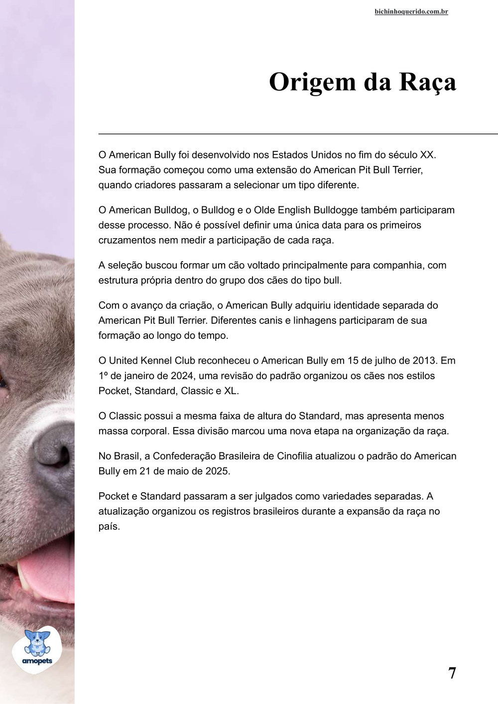 origem da raça no e-book Guia de Como Cuidar do American Bully