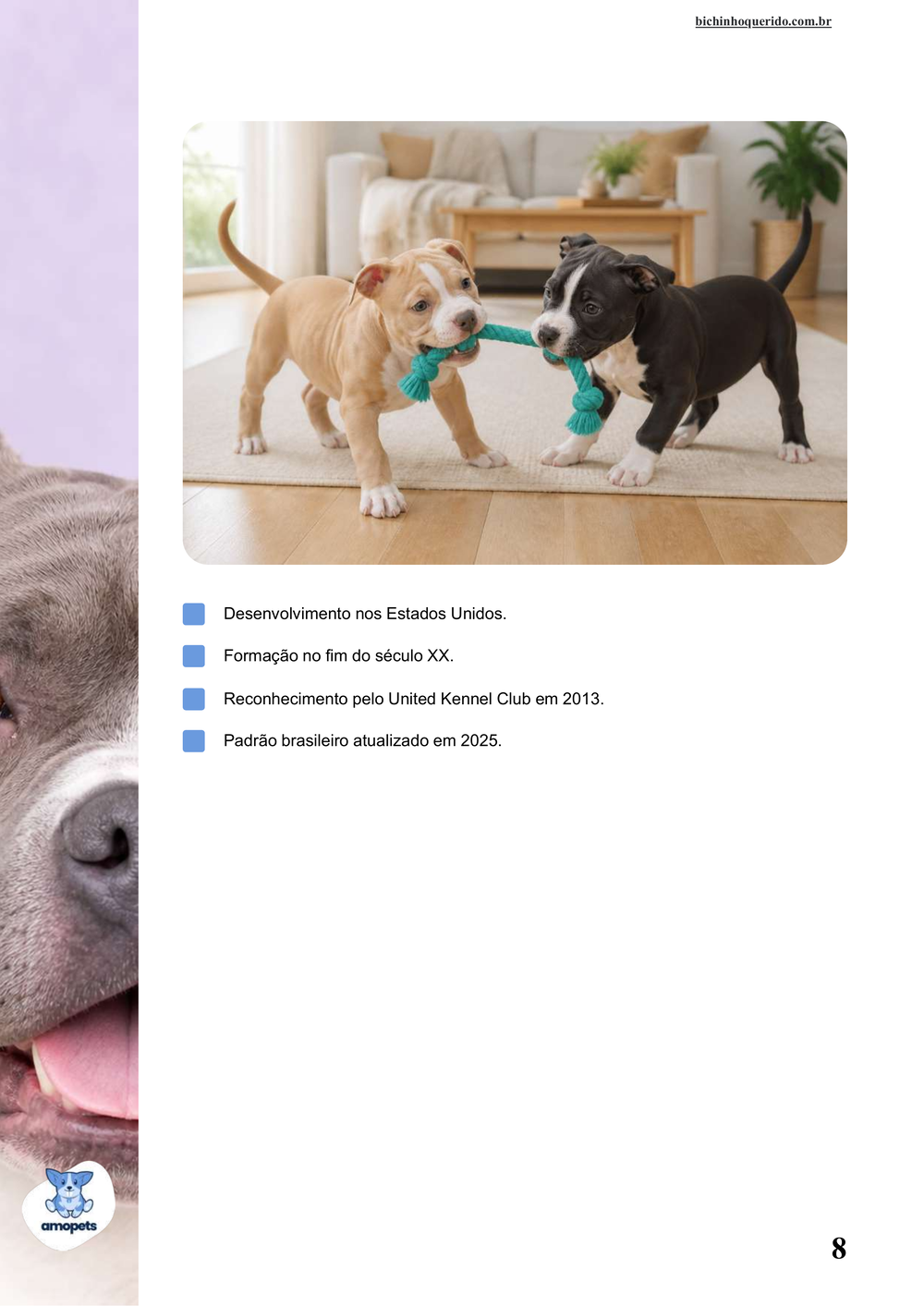 características do American Bully no e-book Guia de Como Cuidar do American Bully