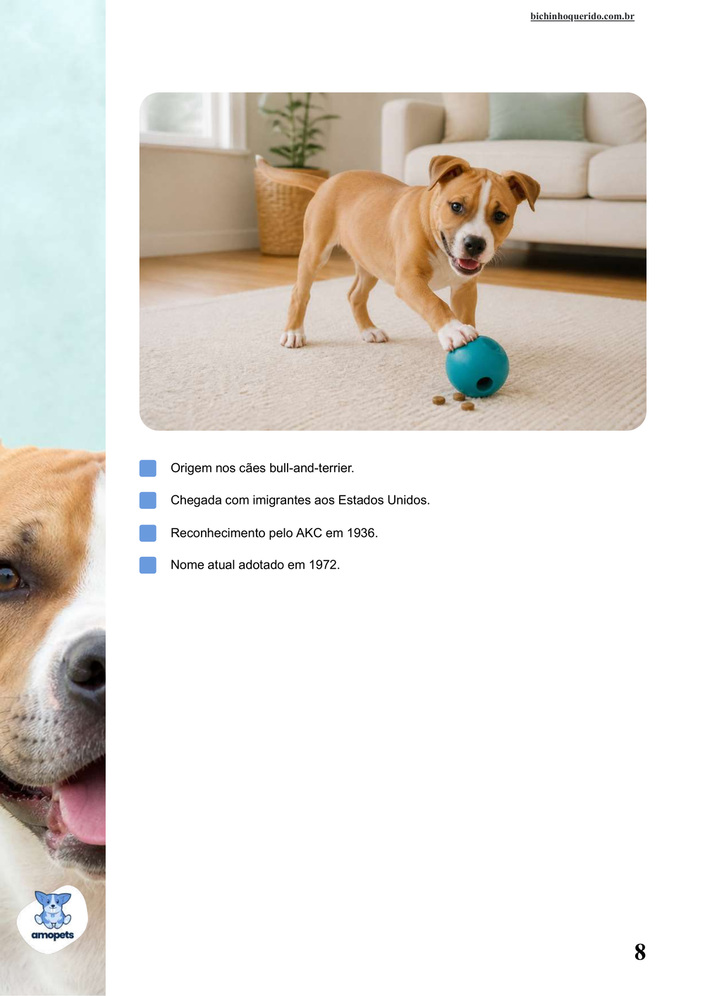 características do American Staffordshire Terrier no e-book Guia de Como Cuidar do American Staffordshire Terrier