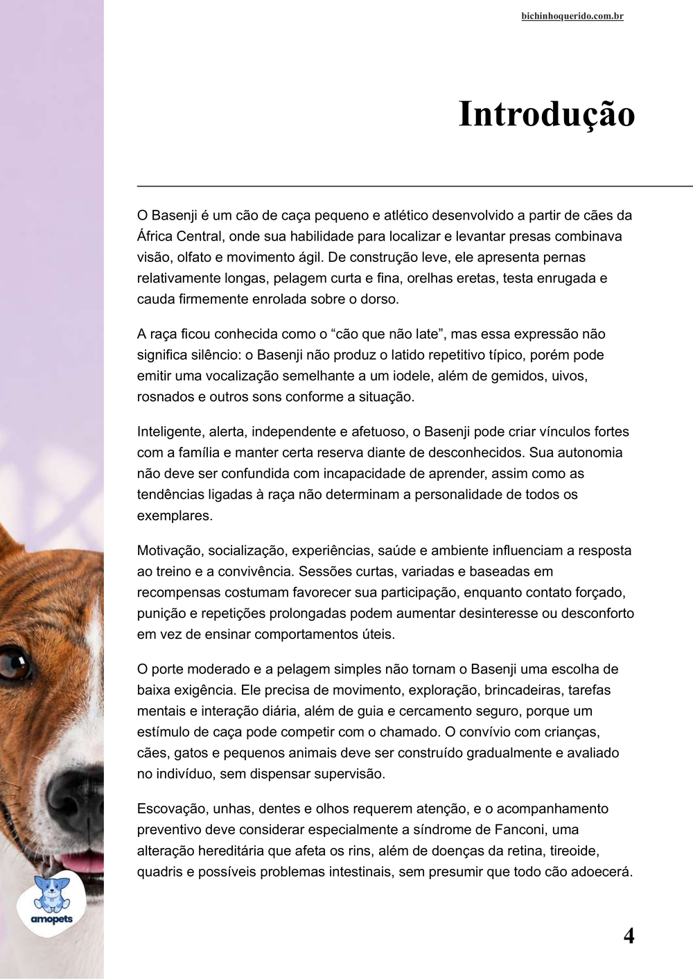 introdução do e-book Guia de Como Cuidar do Basenji