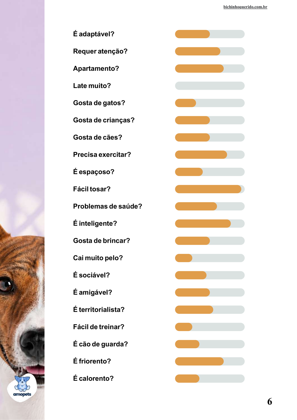 perfil da raça no e-book Guia de Como Cuidar do Basenji