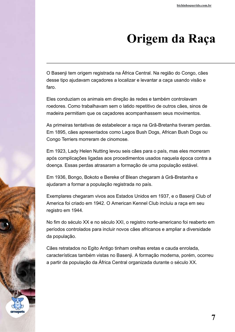 origem da raça no e-book Guia de Como Cuidar do Basenji